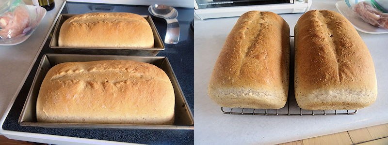 Linda's Sourdough Bread Updated 7