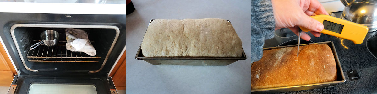 Oatmeal Bran Bread 7