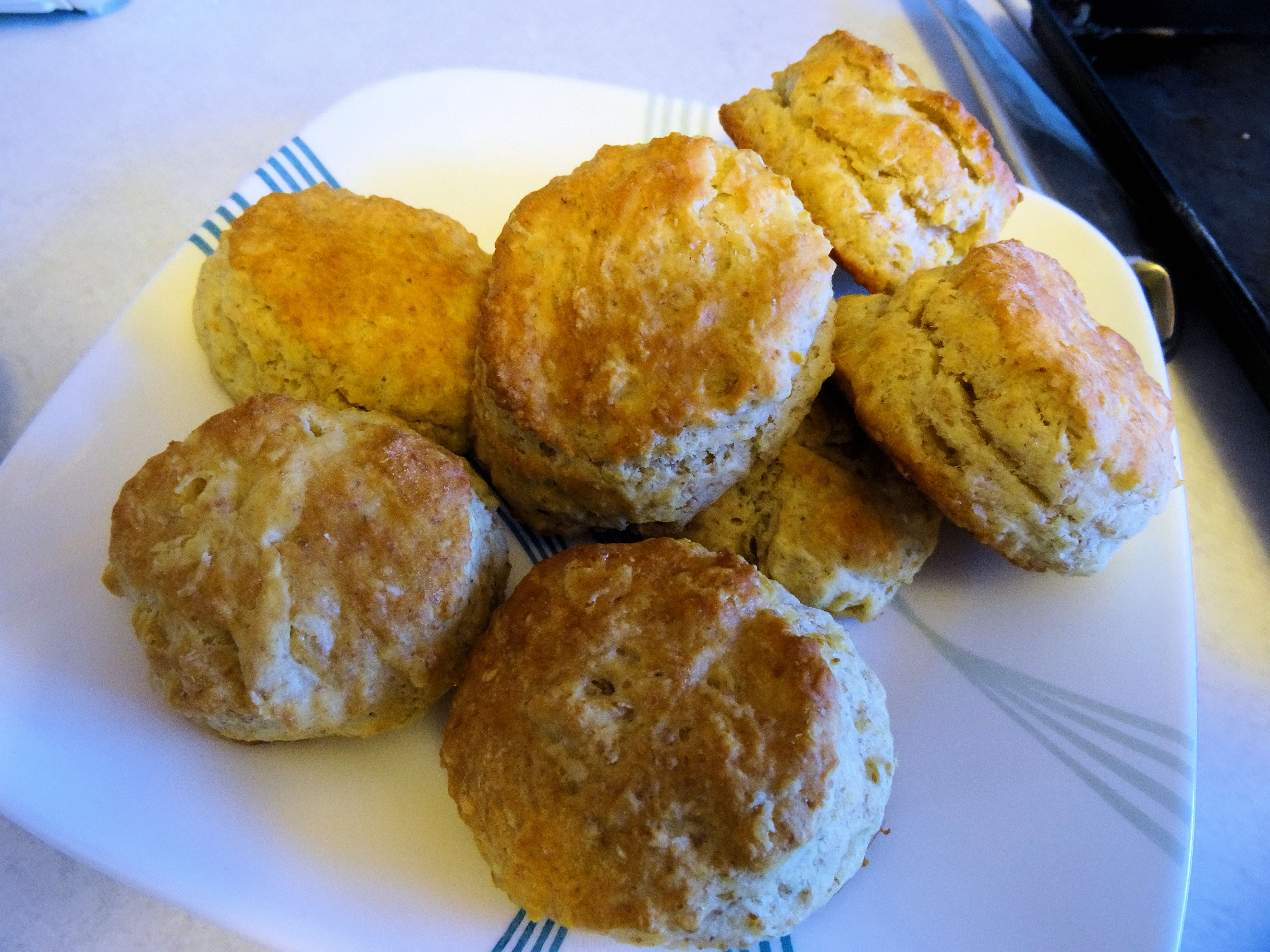 Linda's Sourdough Biscuits 2