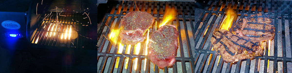Grilled Beef Tenderloin 1