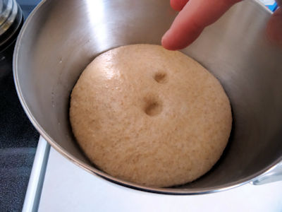 Sourdough Raisin Bagels 2