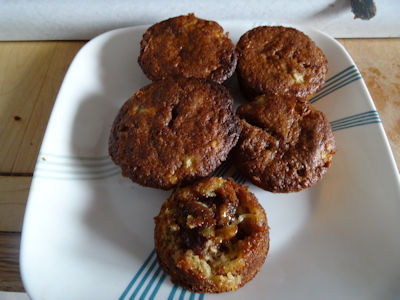 Sourdough Rhubarb Muffins Fail